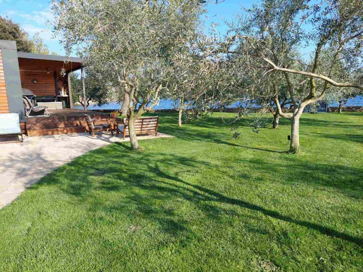 Beach House Ive With Jacuzzi, Pool, Playground And Bbq In An Olive Grove With A Beach, Pomer - Istria Экстерьер фото