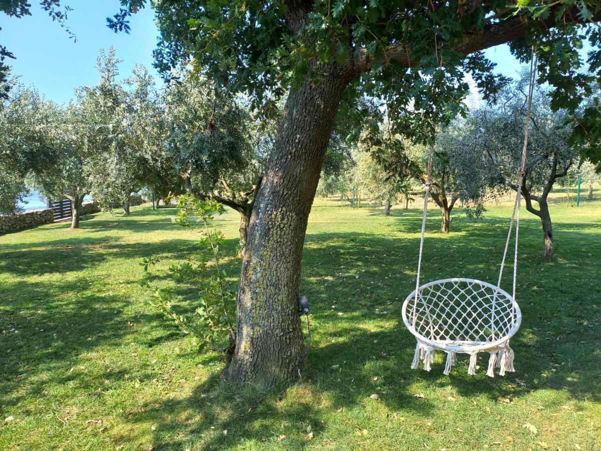 Beach House Ive With Jacuzzi, Pool, Playground And Bbq In An Olive Grove With A Beach, Pomer - Istria Экстерьер фото